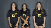 College Soccer GIF by University of Science & Arts
