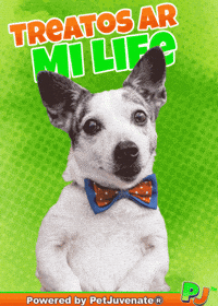 PetJuvenate petjuvenate henlo hooman fren love rescue dogs treatos and woofer for pupper GIF