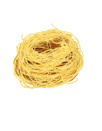Angel Hair Pasta Sticker by Bianca Bosso