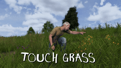 Dayz GIF