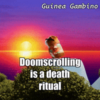 GIF by Guinea Gambino