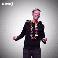 Happy Dance GIF by SWR3