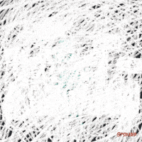 mike brown fox GIF by Animation Domination High-Def