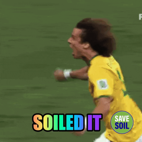 Qatar 2022 Football GIF by Save Soil