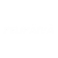 Pelipaiva Sticker by Ilves
