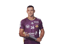 Sticker by HBCNantes