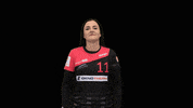 dhcplzen  GIF