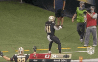 Regular Season Football GIF by NFL