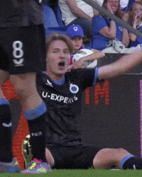 Romeovermant GIF by Club Brugge