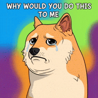 Sad Shiba Inu GIF by Doge Pound