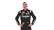 Kyle Busch Driver Sticker by Richard Childress Racing