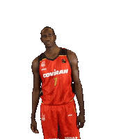 Sport Coviran Sticker by Fundación Club Baloncesto Granada