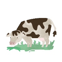 Cow Eating Sticker by Agricamper