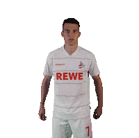 1 Fc Cologne Soccer Sticker by 1. FC Köln