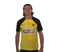 Ljubicic Sticker by AEK FC