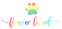 Love Dogs Photography Sticker by puppytales