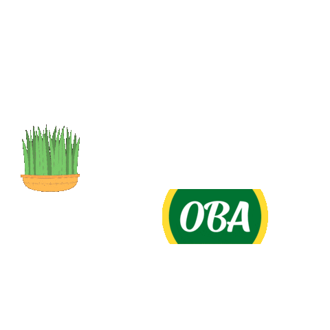 Novruz Semeni Sticker by OBA Marketler