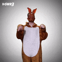 Happy Bunny GIF by SWR3