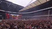 summertime ball crowd GIF by Capital FM