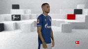Posing Line Up GIF by Bundesliga