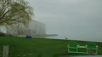 Lake Erie Shrouded in Fog