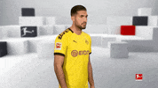 Posing Line Up GIF by Bundesliga
