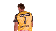 Handball-Bundesliga Handball Sticker by LIQUI MOLY HBL