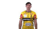 Handball-Bundesliga Fan Sticker by LIQUI MOLY HBL