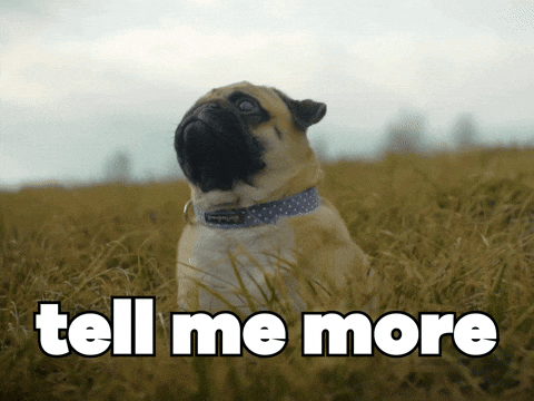 Talking Go On GIF by Sealed With A GIF