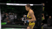 Mixed Martial Arts Sport GIF by UFC