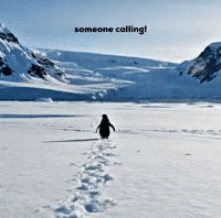 Penguin Walk GIF