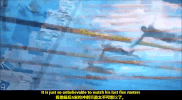ning zetao swimming GIF