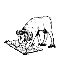 Craft Beer Sticker by Pivovar Muflon