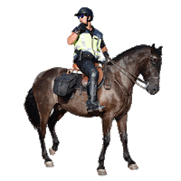 Horse Police Sticker by Policía Nacional