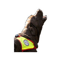 Rettungshund Sticker by Österreichische Rettungshundebrigade