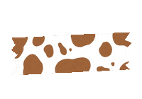 Sticker Tape Sticker