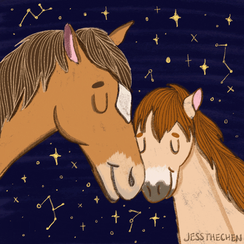 stars horses GIF by jessthechen