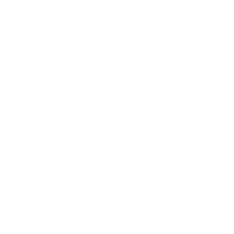 Summer Sun Sticker