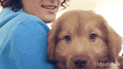 GIF by Mashable
