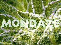 mary jane dope GIF