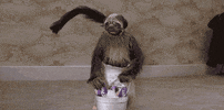 super bowl 2016 GIF by Mountain Dew