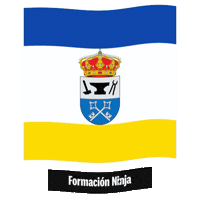 Castilla Y Leon Flag Sticker by Formación Ninja
