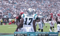 carolina panthers football GIF by NFL
