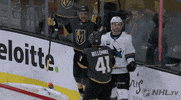 happy ice hockey GIF by NHL