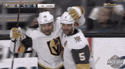 Ice Hockey Hug GIF by NHL