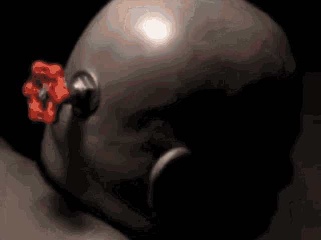 ismailbalci giphyupload GIF