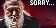 Sorry Sigma GIF