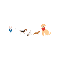 Pet Food Dogs Sticker by Nature's Select Pet Food