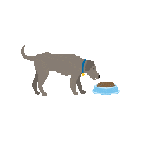 Dog Food Sticker by Nature's Select Pet Food