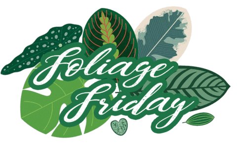 Heart Friday Sticker